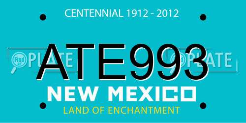 ATE993 New Mexico License Plate