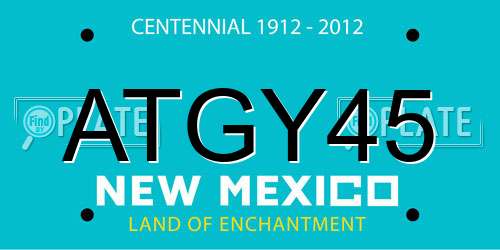ATGY45 New Mexico License Plate