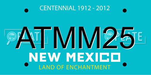 ATMM25 New Mexico License Plate