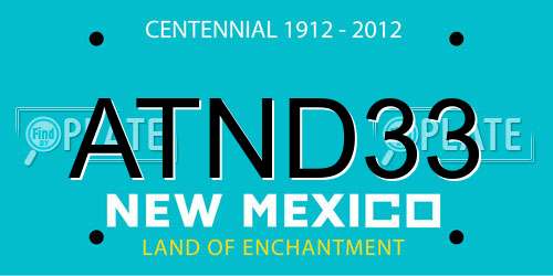 ATND33 New Mexico License Plate