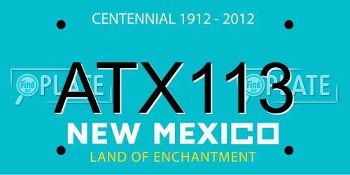 ATX113 New Mexico License Plate