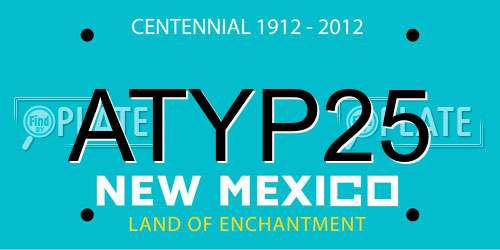 ATYP25 New Mexico License Plate