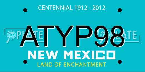 ATYP98 New Mexico License Plate