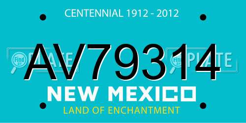 AV79314 New Mexico License Plate