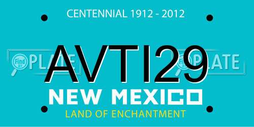 AVTI29 New Mexico License Plate