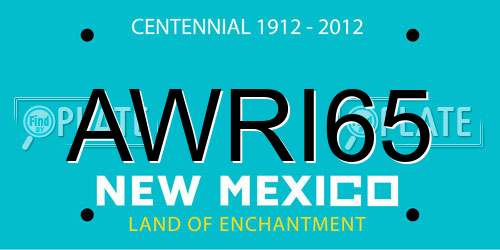 AWRI65 New Mexico License Plate