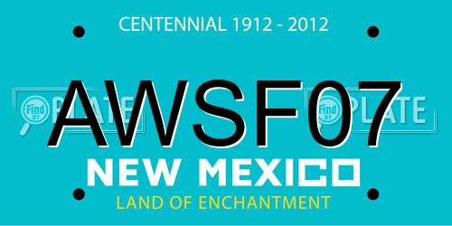 AWSF07 New Mexico License Plate