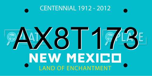 AX8T173 New Mexico License Plate