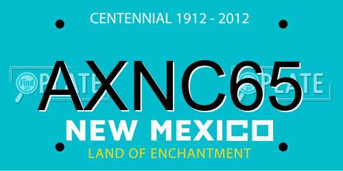AXNC65 New Mexico License Plate