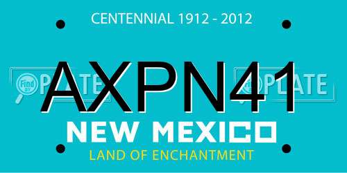 AXPN41 New Mexico License Plate
