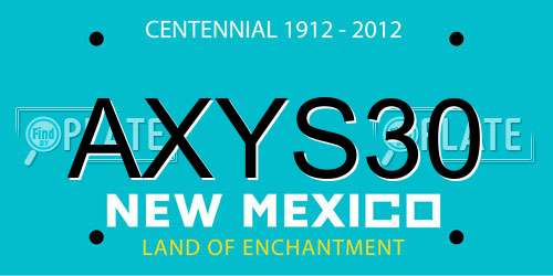 AXYS30 New Mexico License Plate