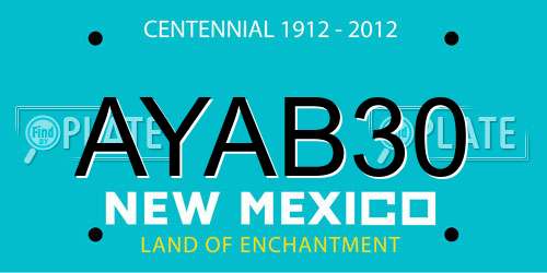 AYAB30 New Mexico License Plate