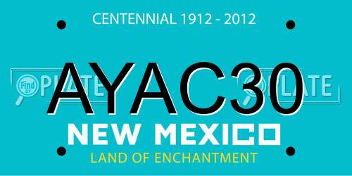 AYAC30 New Mexico License Plate