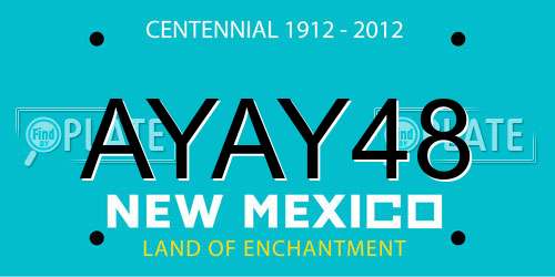 AYAY48 New Mexico License Plate
