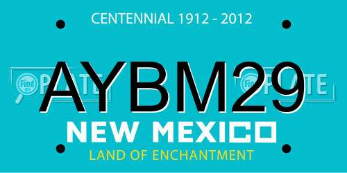 AYBM29 New Mexico License Plate