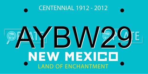 AYBW29 New Mexico License Plate