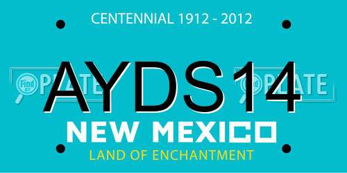 AYDS14 New Mexico License Plate