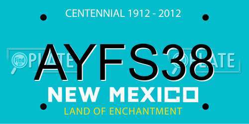 AYFS38 New Mexico License Plate
