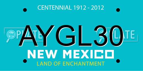 AYGL30 New Mexico License Plate