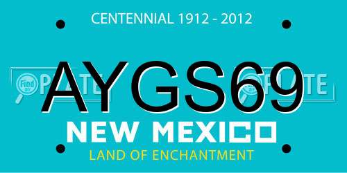 AYGS69 New Mexico License Plate