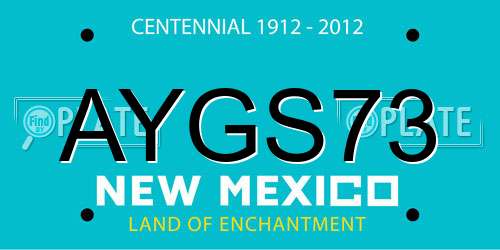 AYGS73 New Mexico License Plate