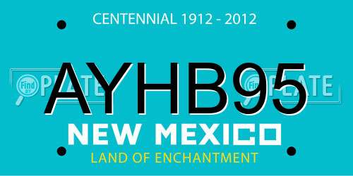 AYHB95 New Mexico License Plate