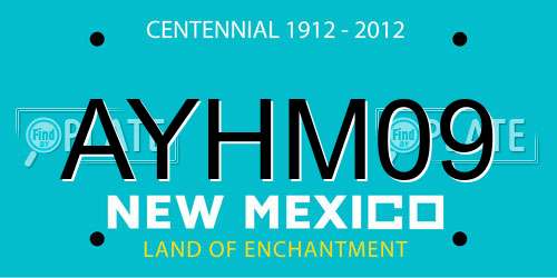 AYHM09 New Mexico License Plate