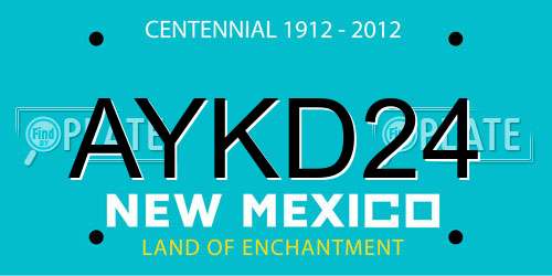 AYKD24 New Mexico License Plate