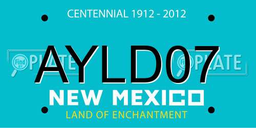 AYLD07 New Mexico License Plate