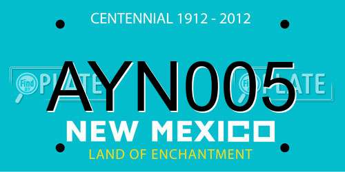 AYN005 New Mexico License Plate