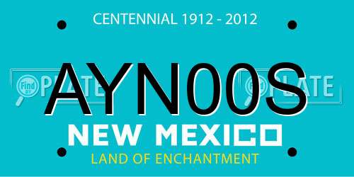 AYN00S New Mexico License Plate