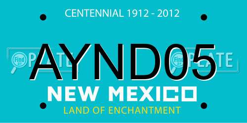 AYND05 New Mexico License Plate