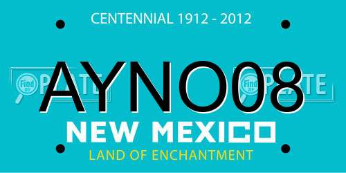AYNO08 New Mexico License Plate