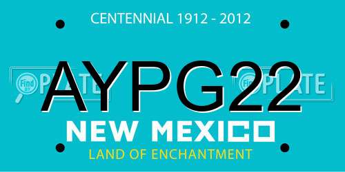 AYPG22 New Mexico License Plate