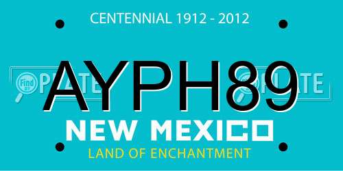 AYPH89 New Mexico License Plate