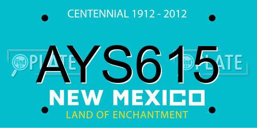 AYS615 New Mexico License Plate