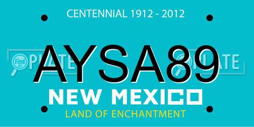 AYSA89 New Mexico License Plate