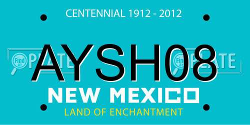 AYSH08 New Mexico License Plate