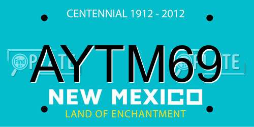 AYTM69 New Mexico License Plate