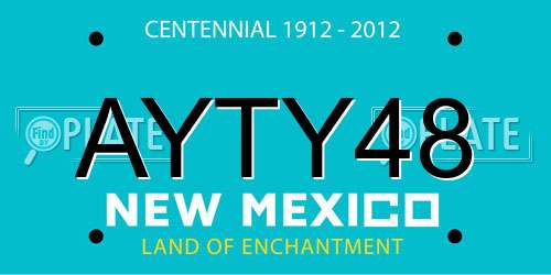AYTY48 New Mexico License Plate