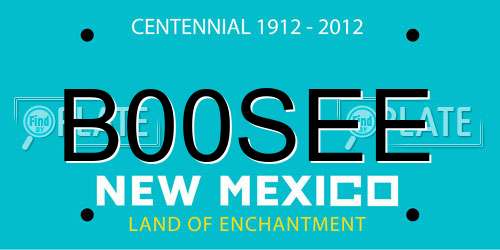 B00SEE New Mexico License Plate