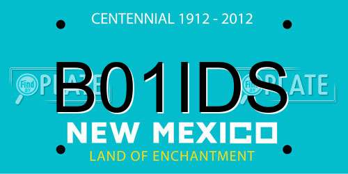 B01IDS New Mexico License Plate