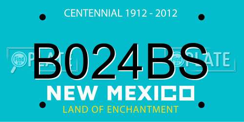 B024BS New Mexico License Plate