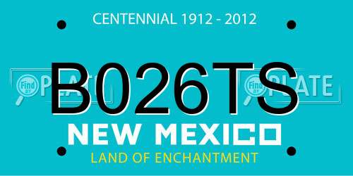 B026TS New Mexico License Plate