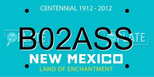 B02ASS New Mexico License Plate