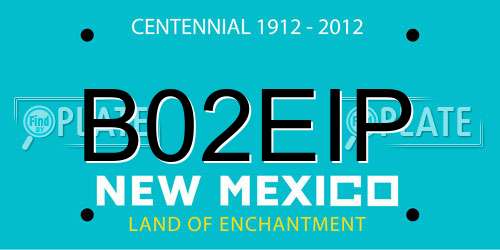 B02EIP New Mexico License Plate