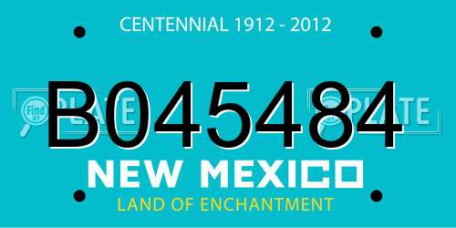 B045484 New Mexico License Plate