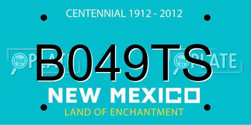 B049TS New Mexico License Plate
