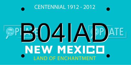 B04IAD New Mexico License Plate