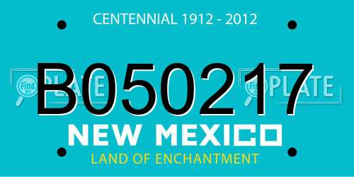 B050217 New Mexico License Plate